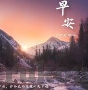 433足球比分-433足球比分，数据背后的战术密码与赛场风云