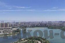 任9足球比分-任九足球比分，一场智慧与运气的博弈盛宴